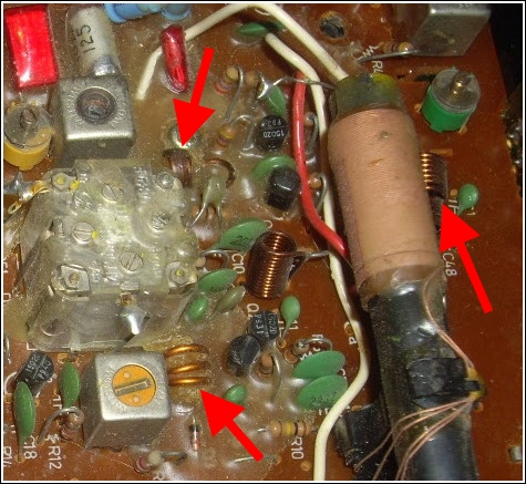 IMGP5539.JPG
