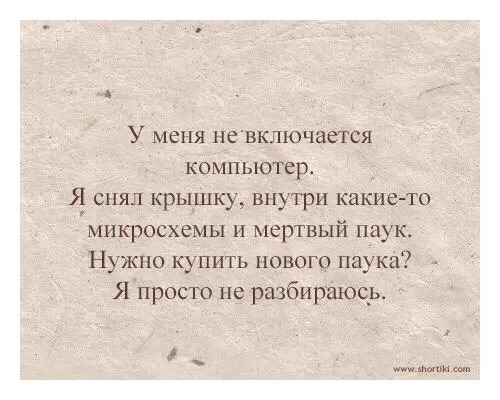 паук в компе.jpg