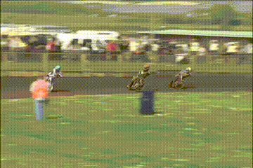 мотик как курица.gif