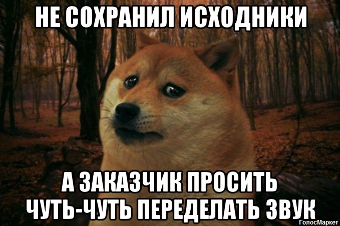 Звук.jpg