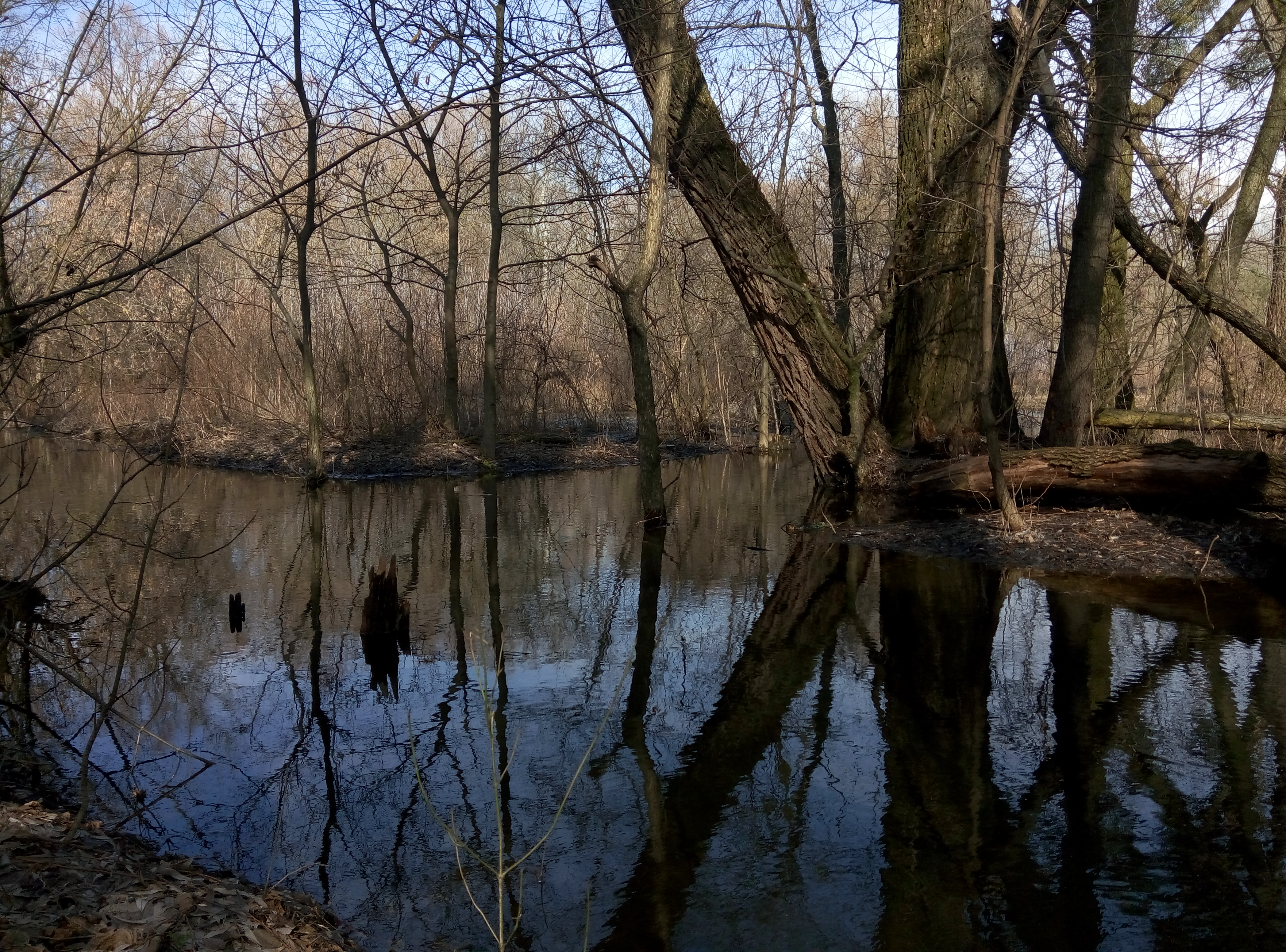 DSC_0016.JPG