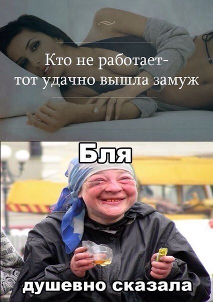 7347169.jpg