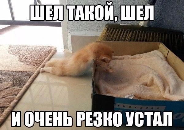 c1wD0VGGUko.jpg