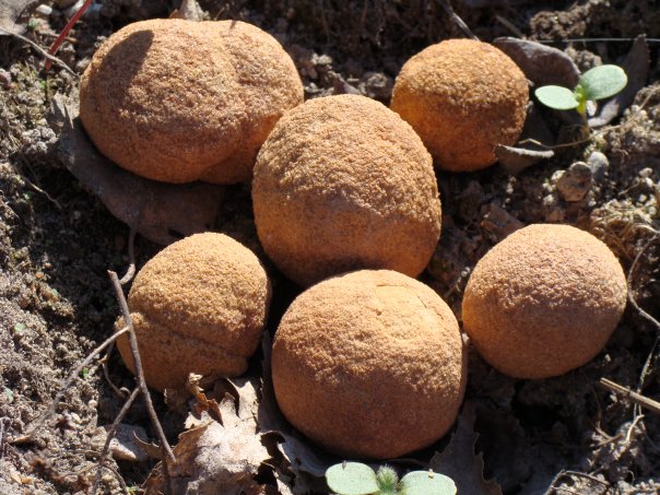 7IQwL-miokk.jpg