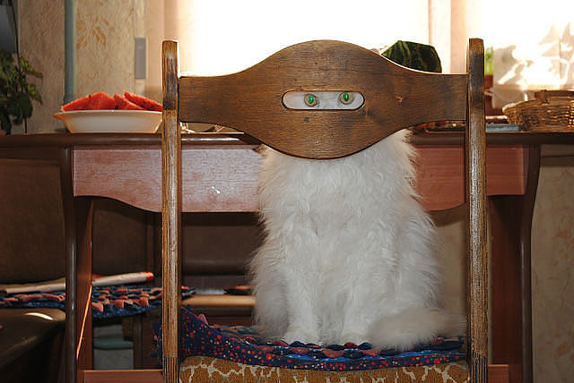 СПЕЦНАЗ ))).jpg