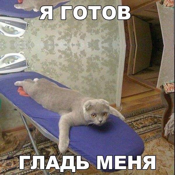 1463224161183093471.jpg