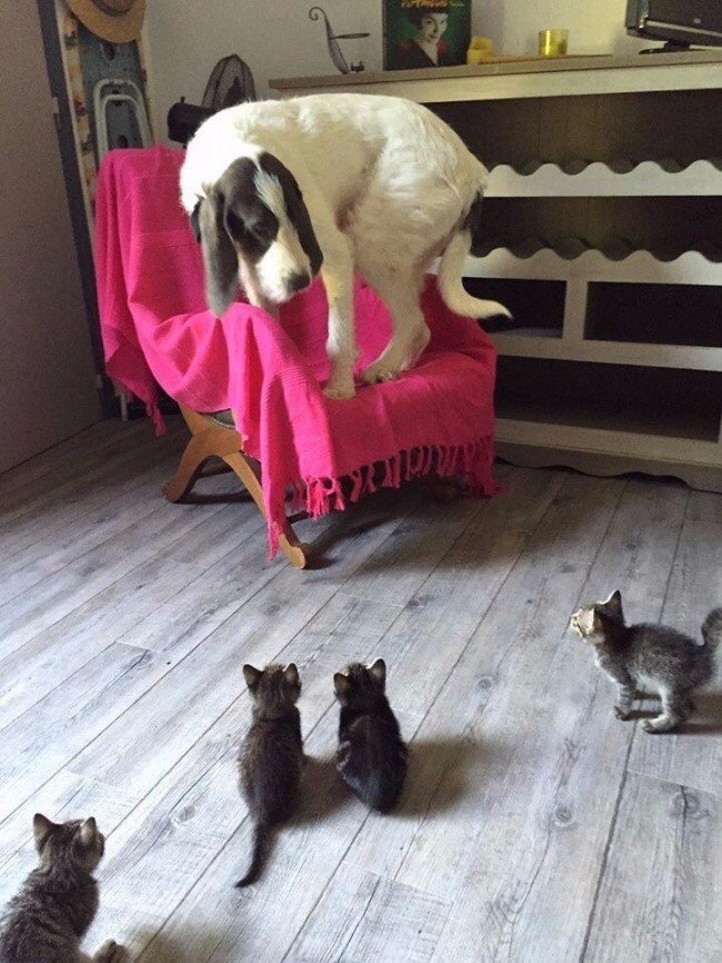 image.jpeg