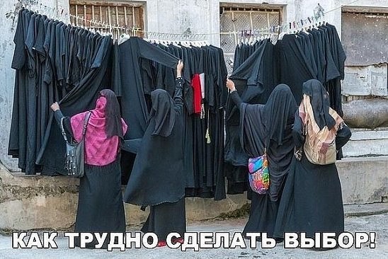 image (1).jpg