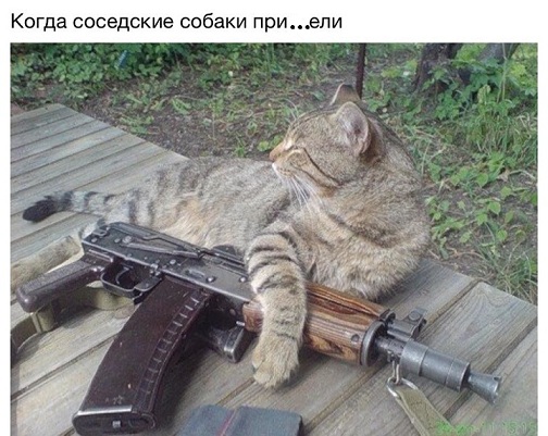 ке.jpg