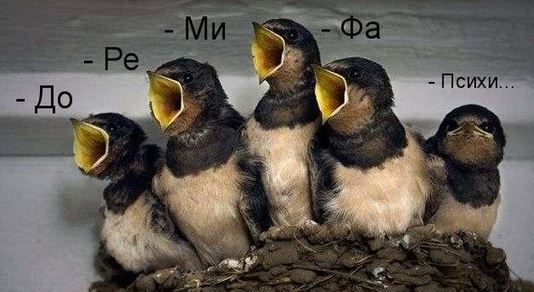 хор.jpg