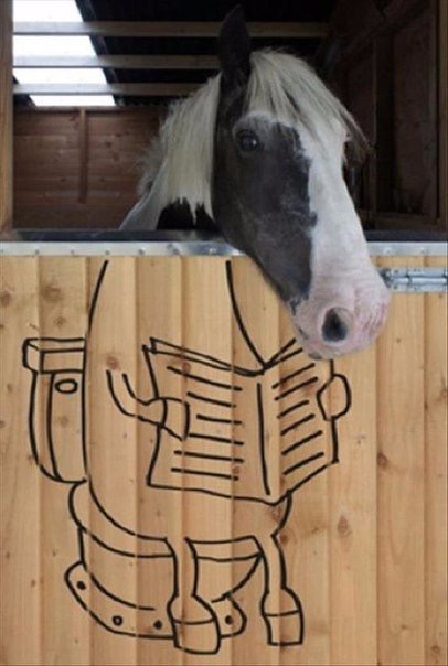 image.jpeg