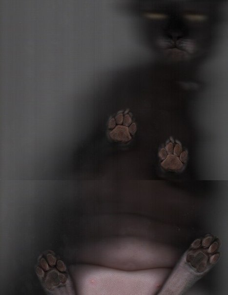 GXH0c3XB4B0.jpg
