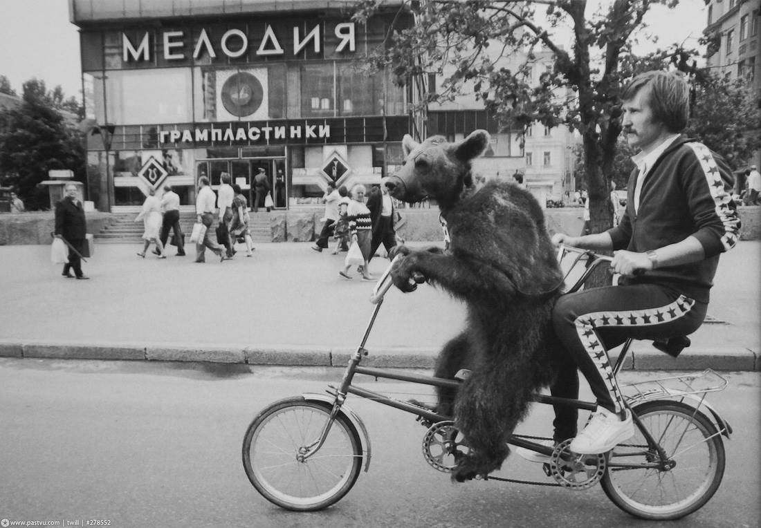 мелодия.jpg
