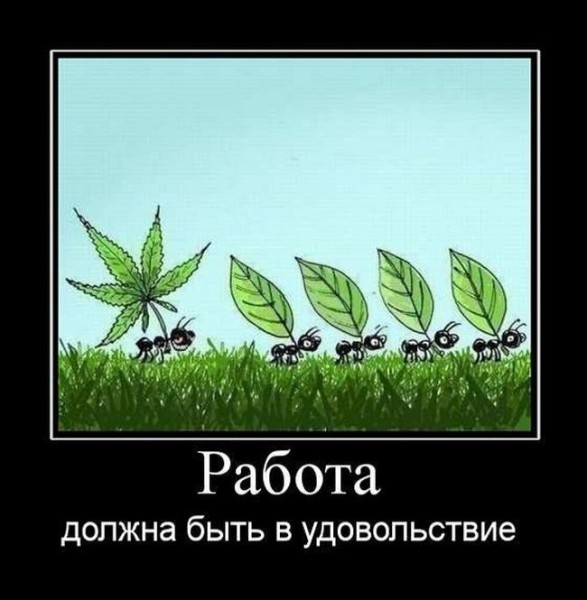 21214_900.jpg