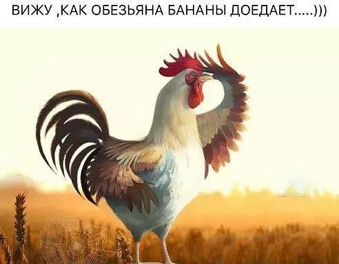 jpgп.jpg