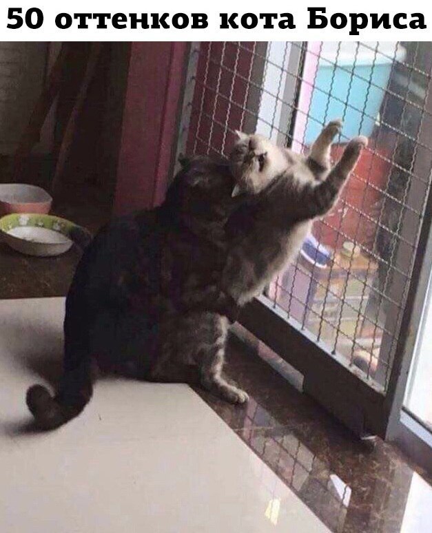 IYmlK8jeL9M.jpg