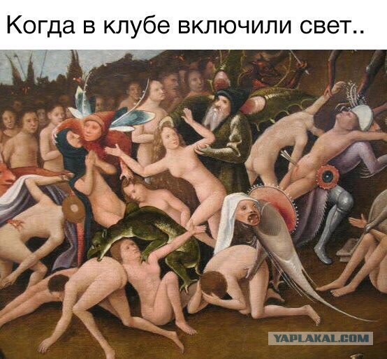 9402242.jpg
