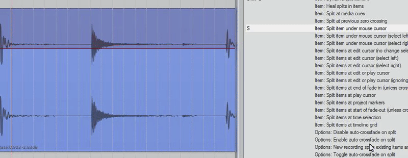 Split Mouse.gif