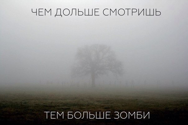 2zDlwkrNPy8.jpg