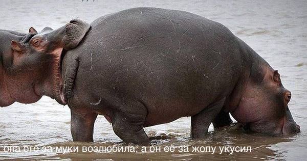 она его.jpg