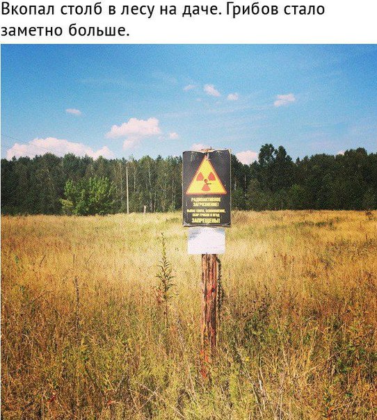 iOzFKVFsBR0.jpg