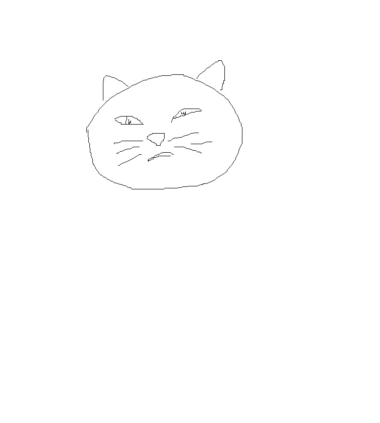 кот.jpg