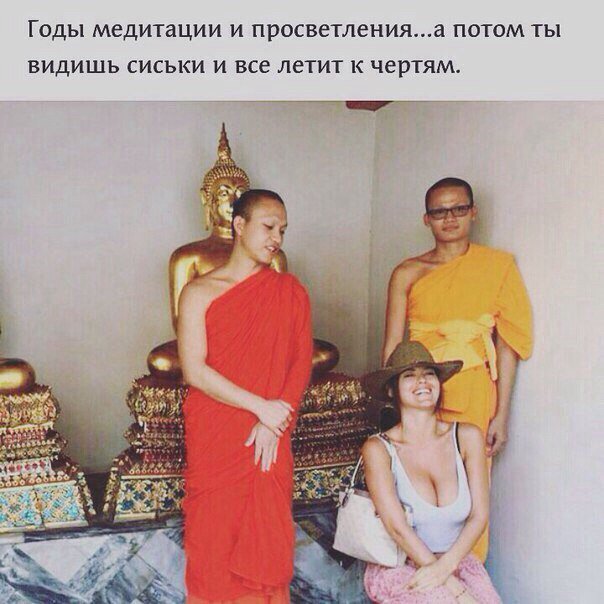 183330_1000.jpg