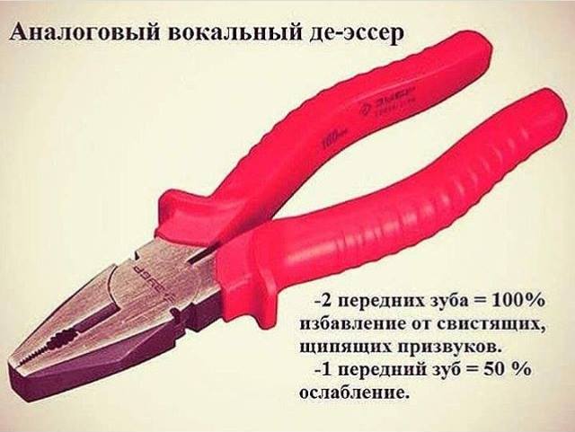 9659253.jpg