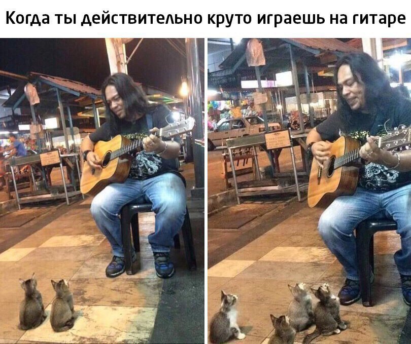 5pqUjRm8srA.jpg