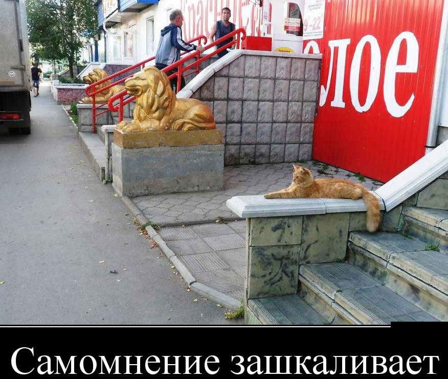 podborka_luchshikh_demotivatorov_287_084.jpg