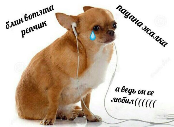tO1y-7kJBaM.jpg