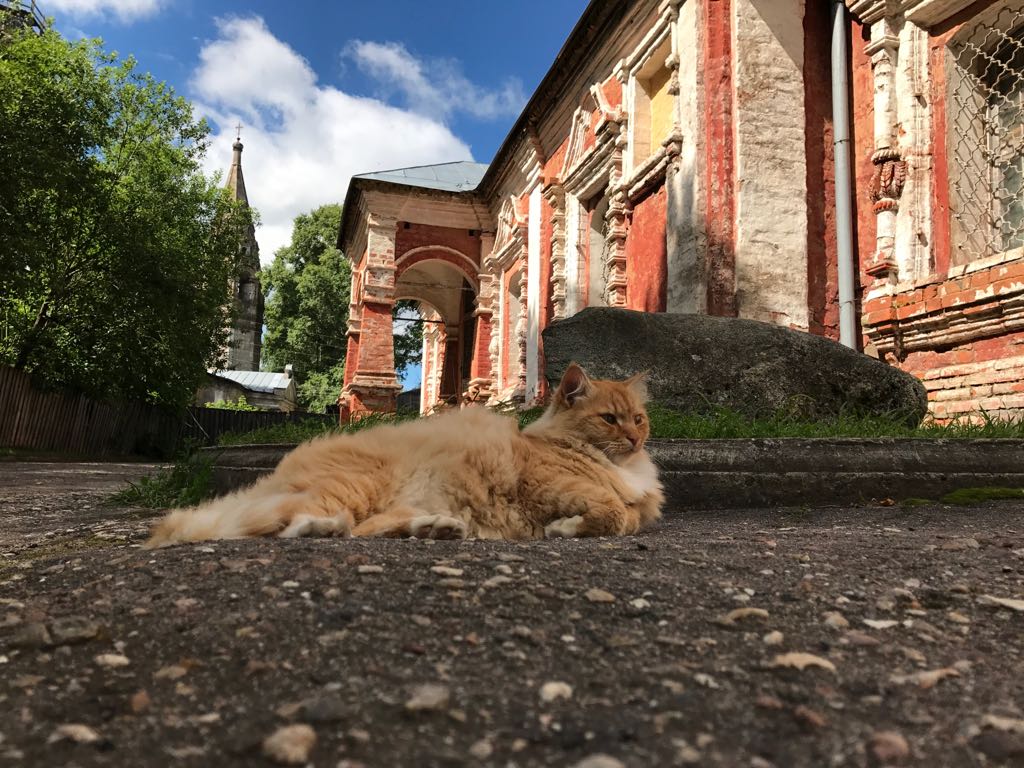 2017-08-03.jpg