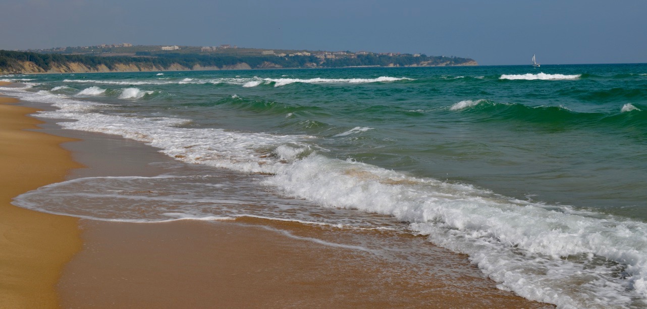 DSC_0818.jpg