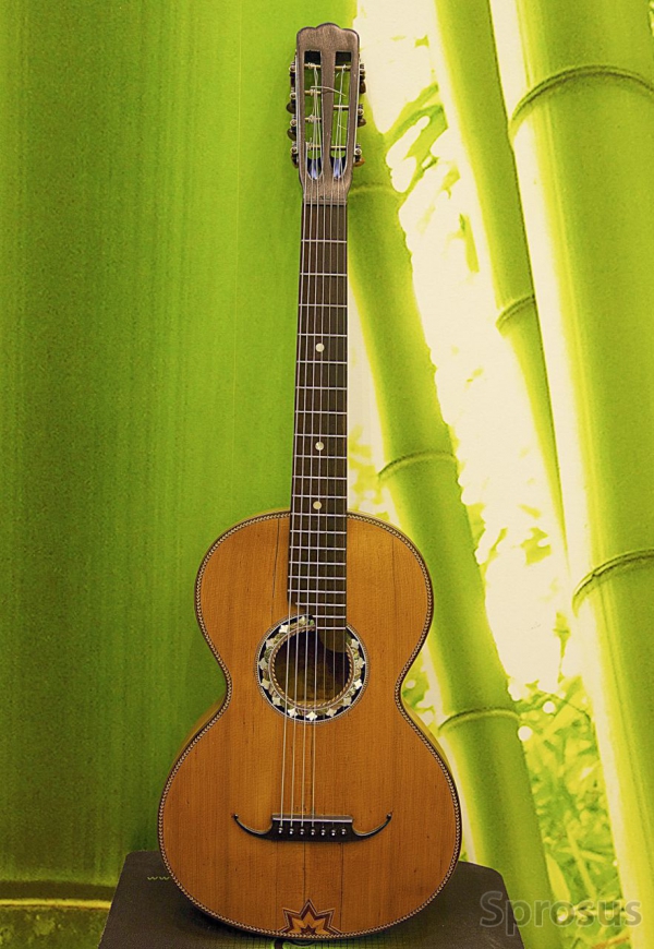 gitara_semistrunnaya.jpg