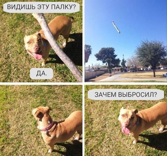 BE3n7hKEXEQ.jpg