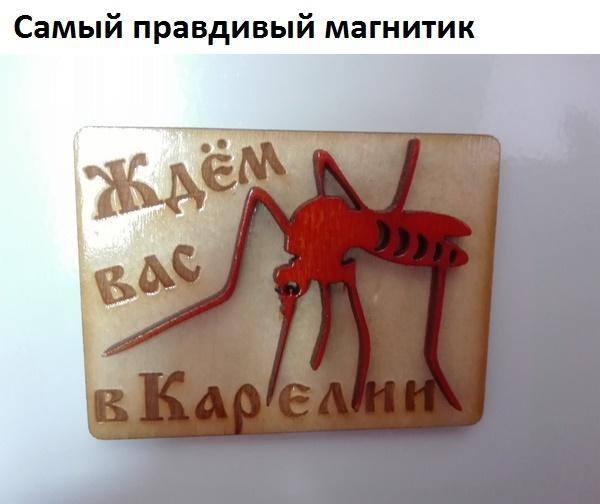 Магнитик.jpg
