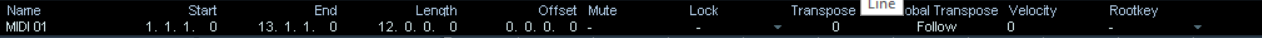 midi item.png