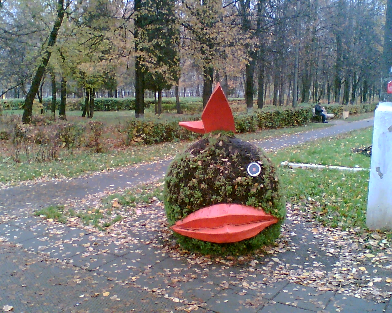 Рыбка.jpg