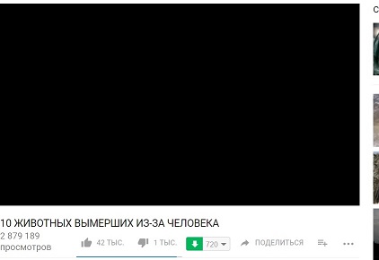 Безымянный.jpg