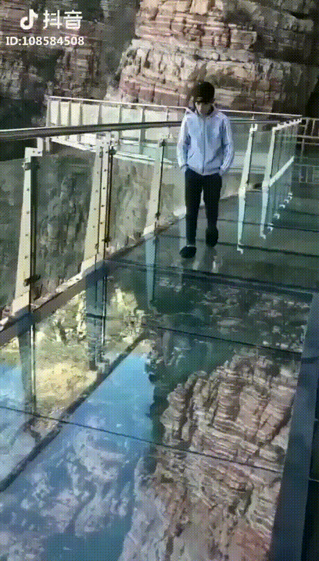 Funny bridge.gif