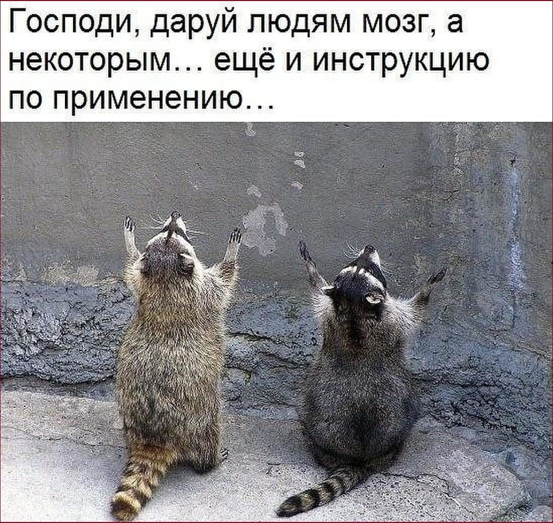 imageльотршпрошщл.jpg