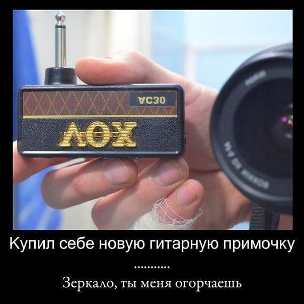 image.jpeg