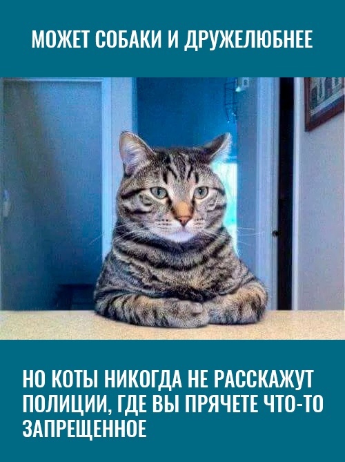 A115A661-03FA-4C6F-8BD0-3B0FDAE235BD.jpeg