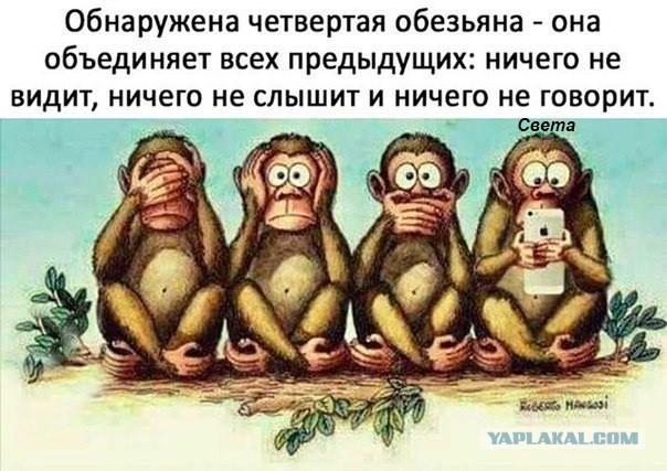 Четвертая обезьяна.jpg
