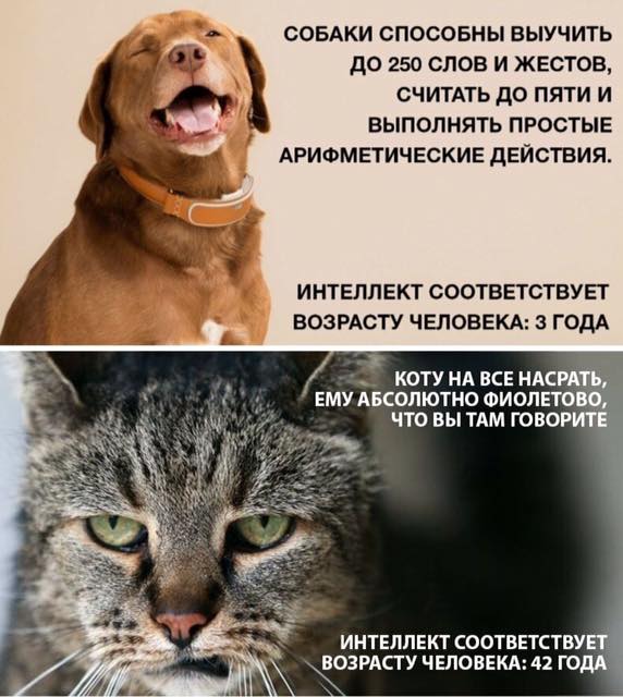 Dt4QjY5WsAETdFi.jpg