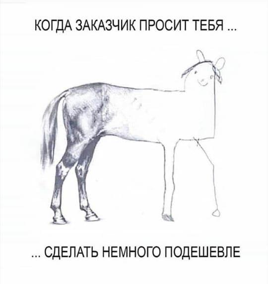 Когда заказчик попросил немного подешевле.jpeg