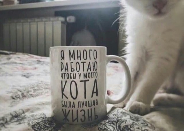 E1634A2D-75A8-4D04-B635-E08A385B247E.jpeg