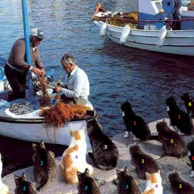 Фотошоп.jpg