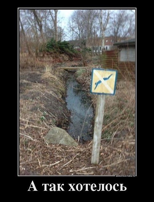 Нырять запрещено.jpg