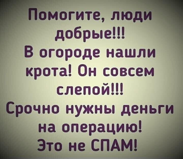 Помогите кроту.jpg